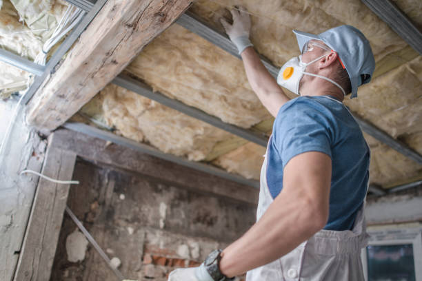 Best DIY Insulation Kits and Guidance in Canby, MN